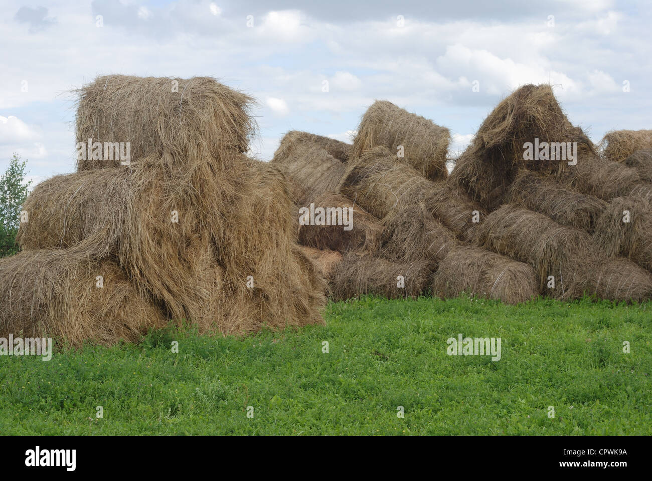 straw bales on farmland with blue cloudy sky Stock Photo - Alamy