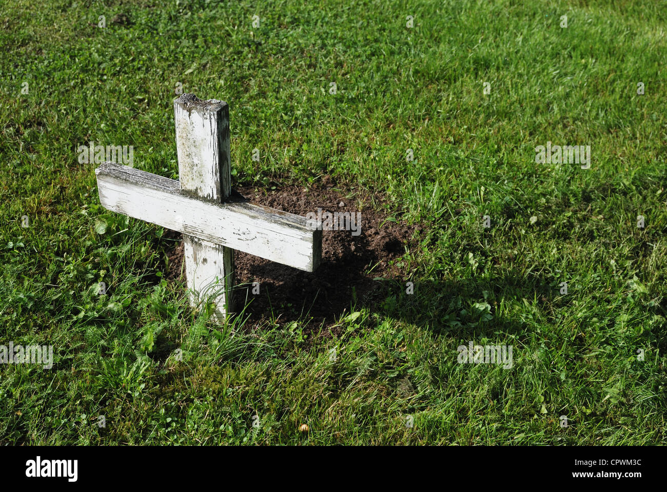 small wooden white cross over green grass Stock Photo