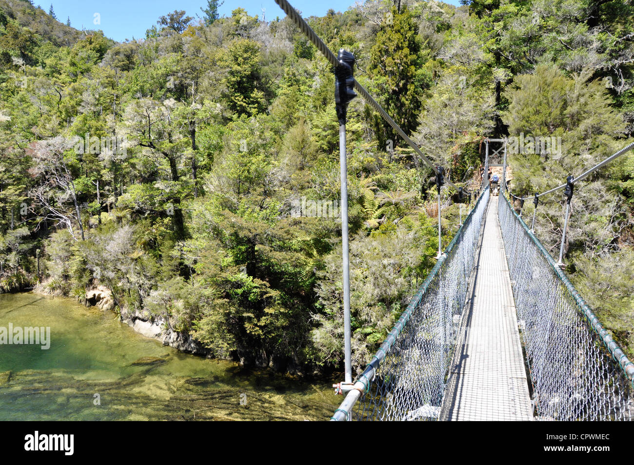 Rope bridge on Abel Tasman track New Zealand Stock Photo Alamy
