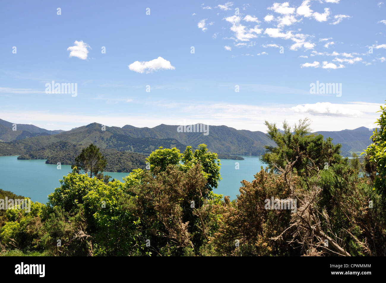 Queen Charlotte Track, Marlborough Sounds, South Island, New Zealand