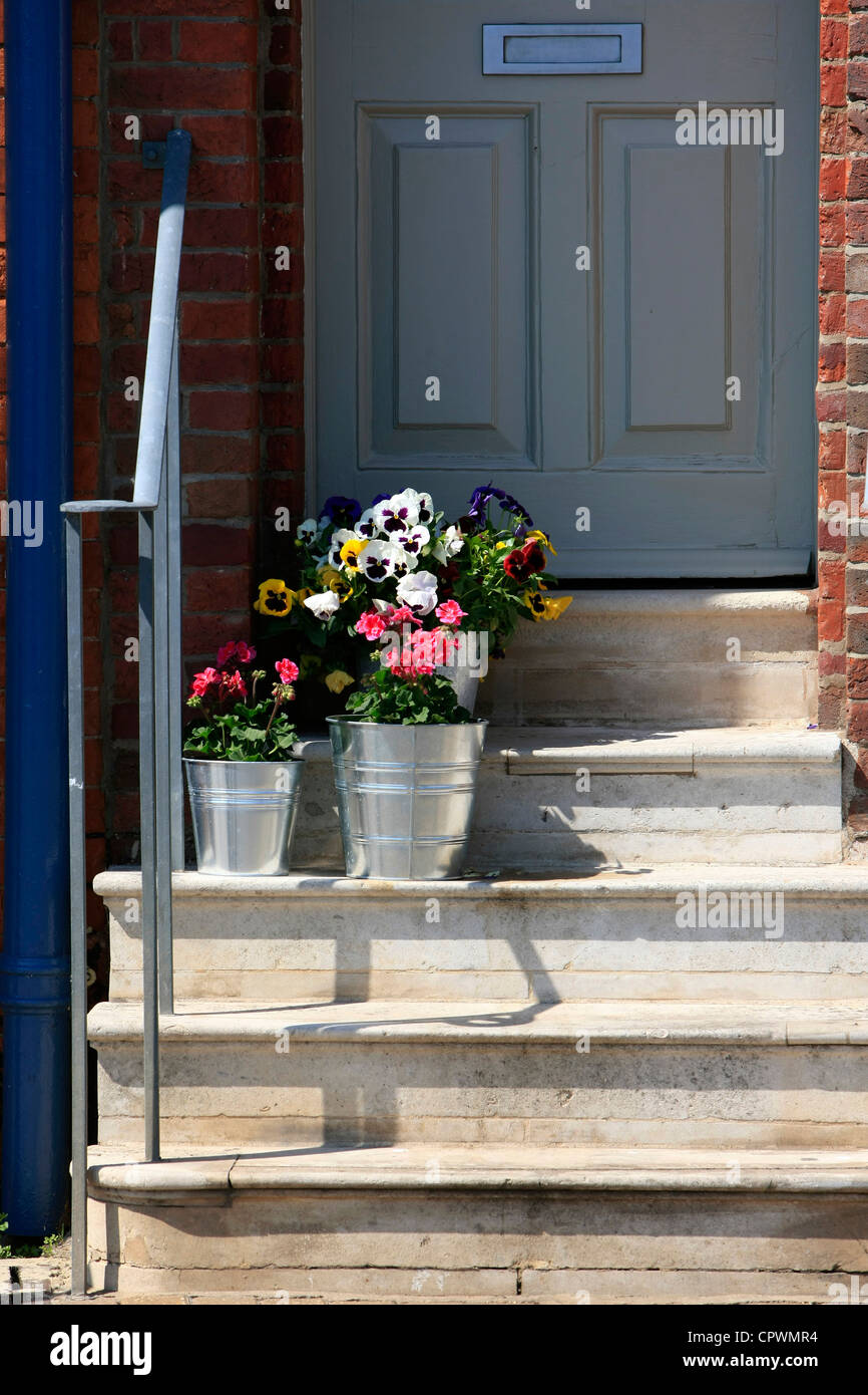 Flowers on the doorstep Stock Photo Alamy