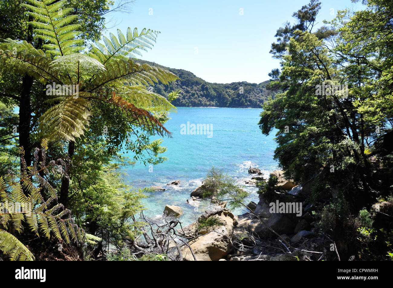Coastal view, Abel Tasman National Park, South Island, New Zealand Stock Photo
