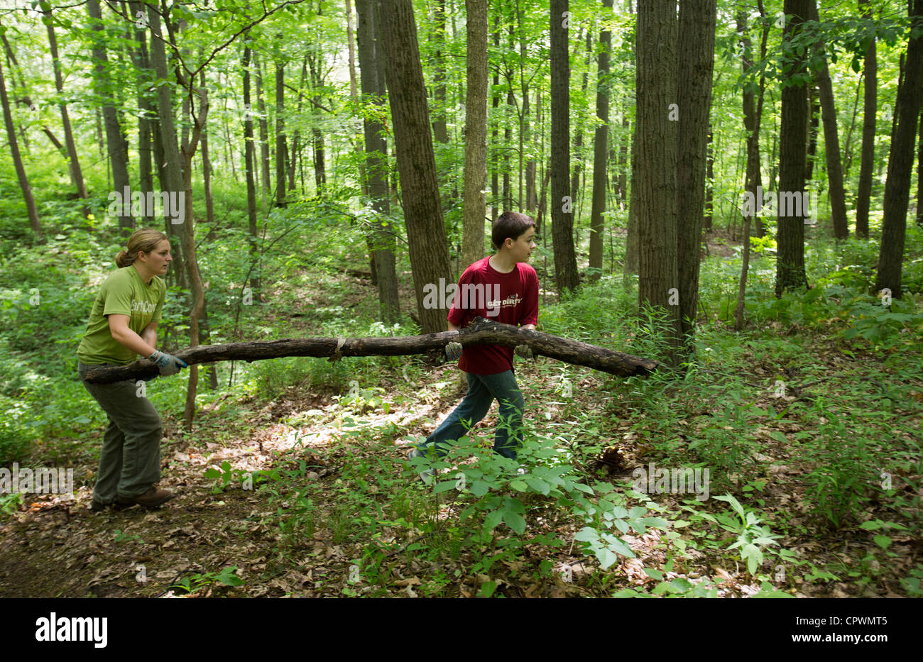 Volunteers Rebuild Hiking Trail in Nature Preserve Stock Photo