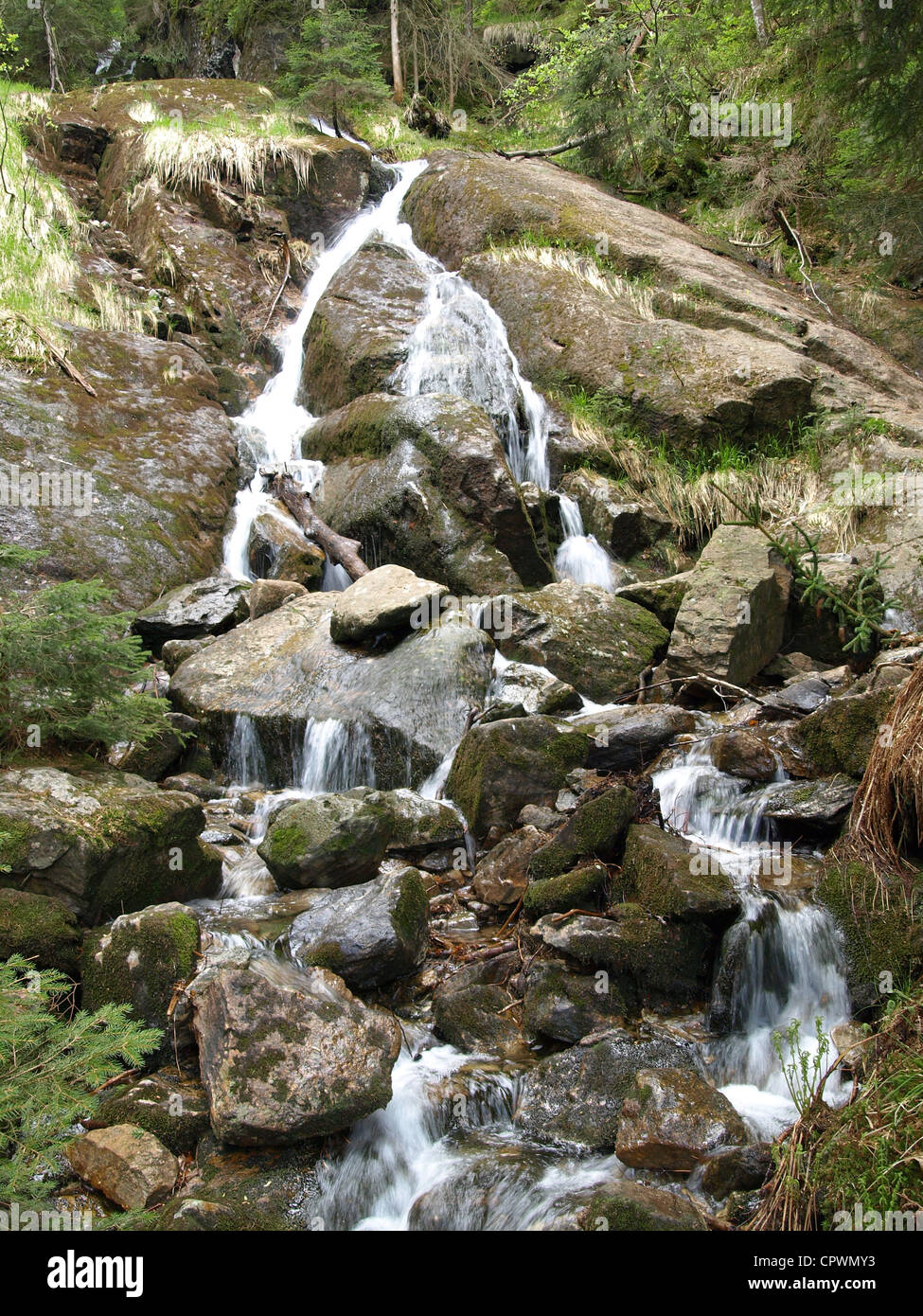 stream / woodstream / foreststream / Reisch, Bavarian Forest, Germany / Bach / Waldbach / Reischbach, Bayerischer Wald Stock Photo