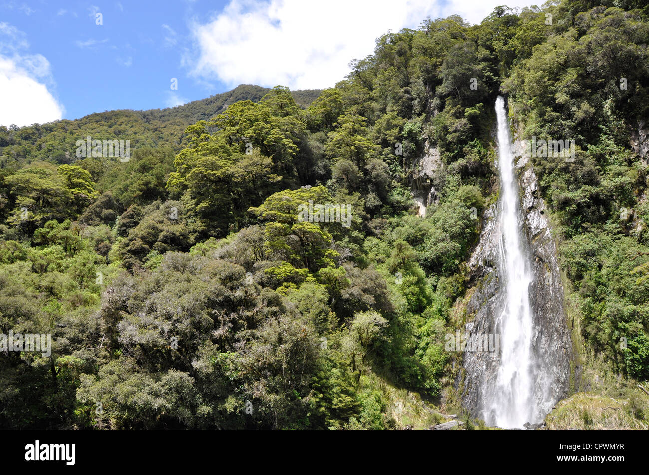 Thunder Creek falls on route 6 Haast river New Zealand Stock Photo