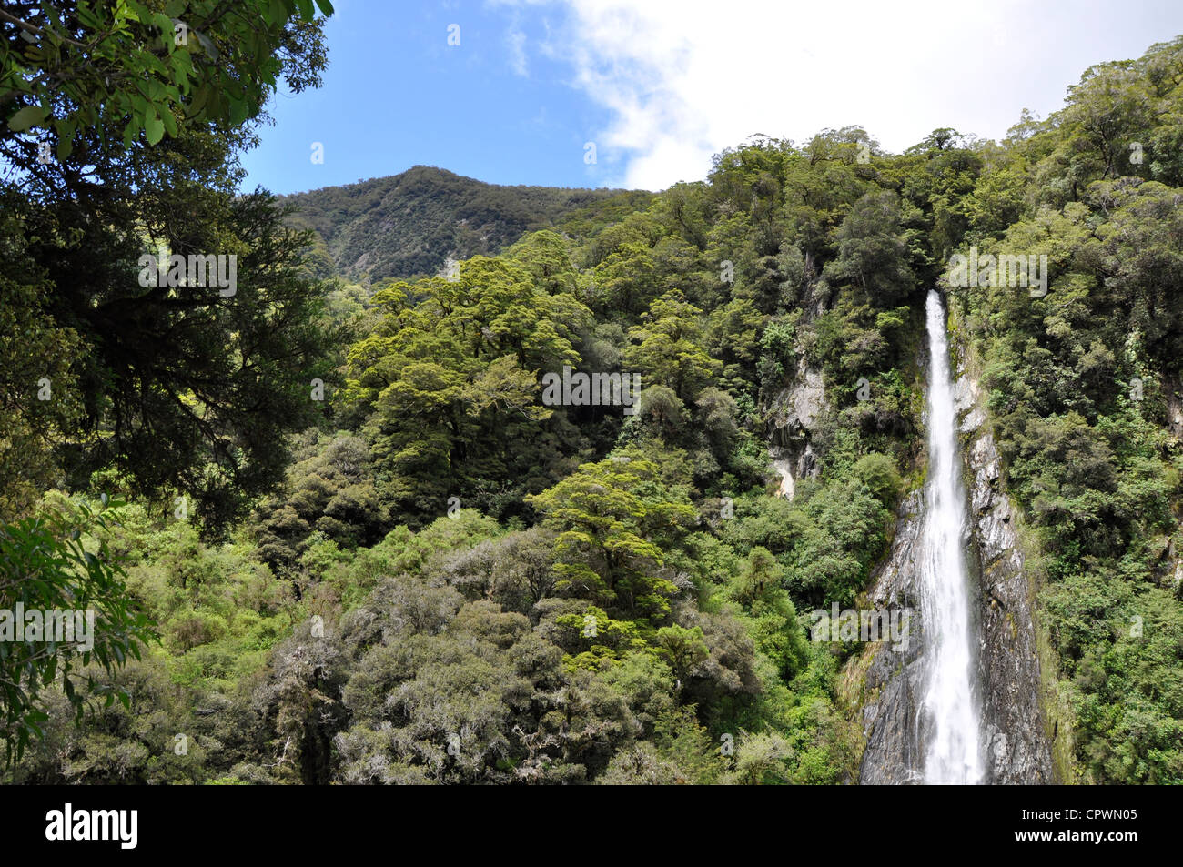 Thunder Creek falls on route 6 Haast river New Zealand Stock Photo