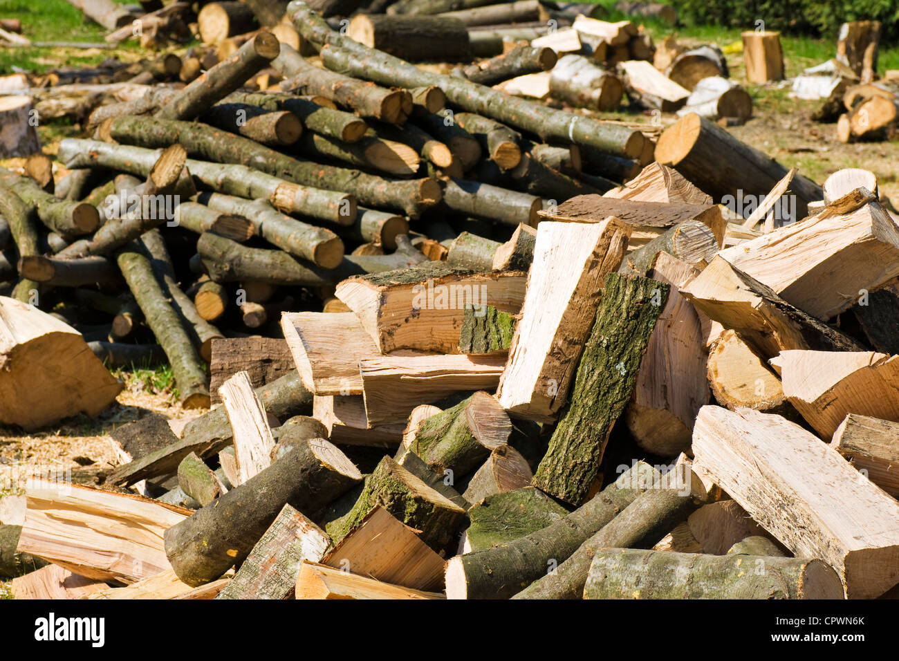 pile of dry chopped firewood Stock Photo