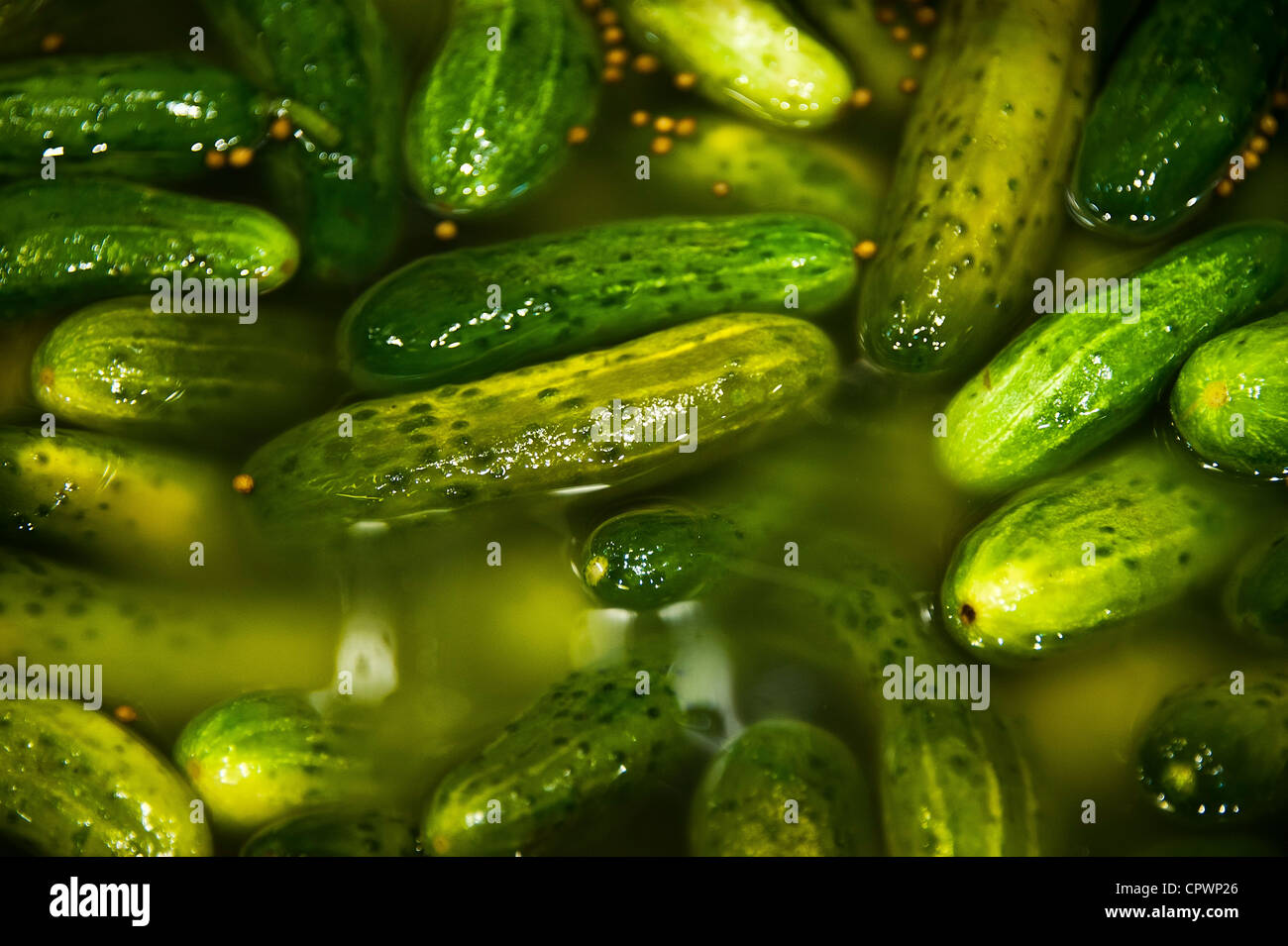 Barrel of pickles. Stock Photo