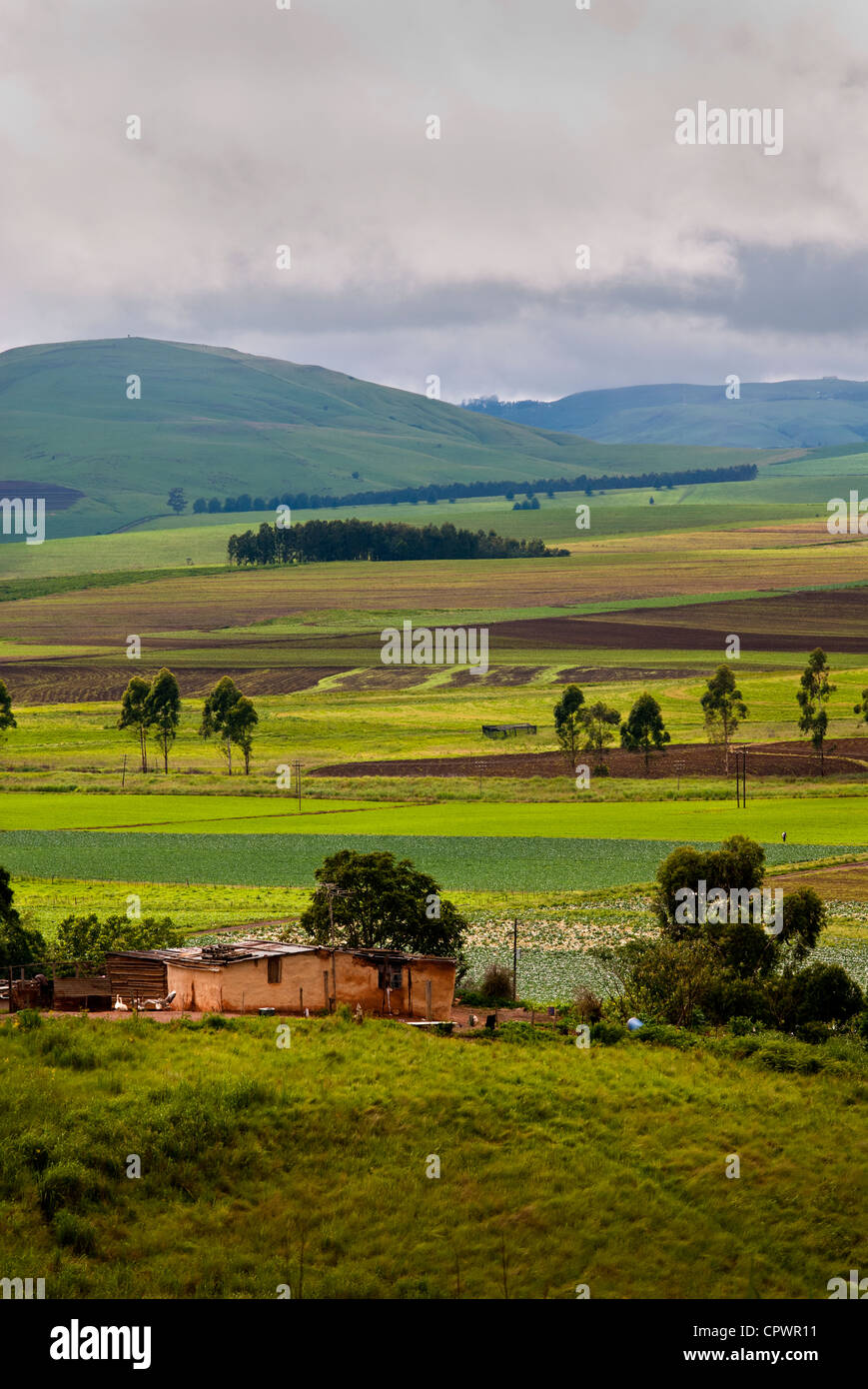 Farming valley in the midlands, Kwazulu Natal, South Africa. Stock Photo