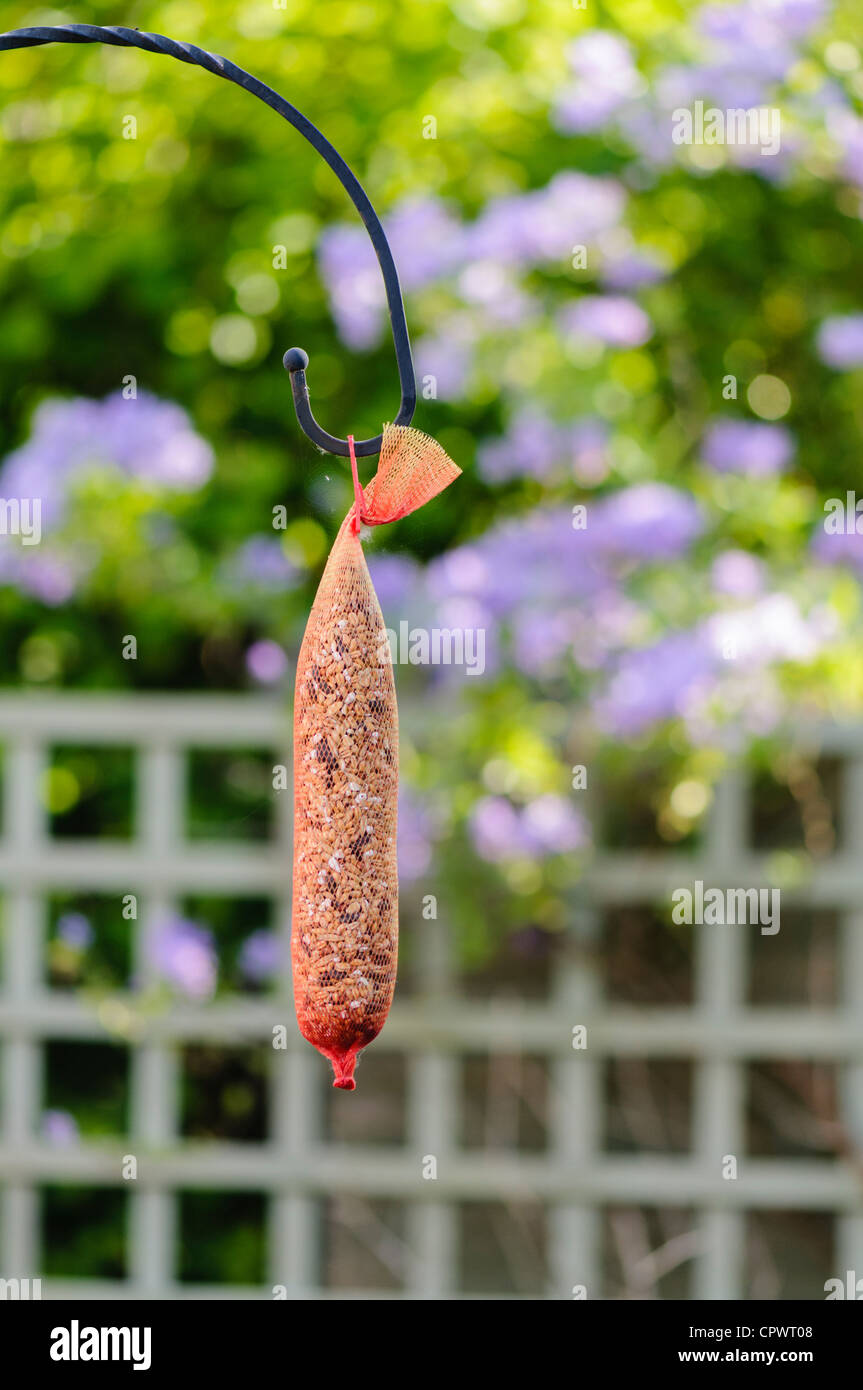 Wild Bird Grain Feeder Net Hanging In A Garden Stock Photo