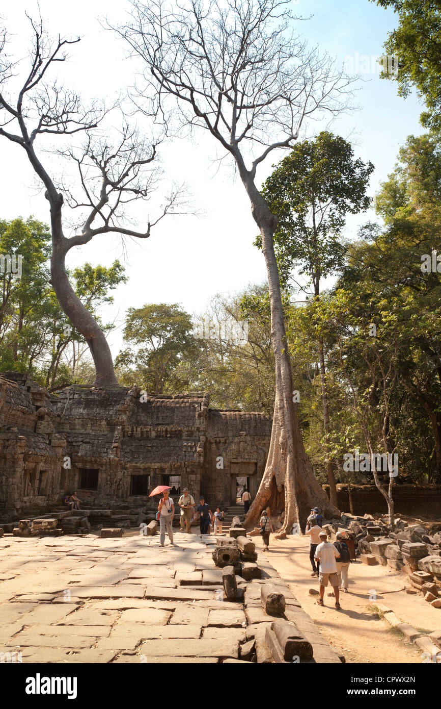 Tourists inspecting the ruins, Ta Prohm, Angkor, Siem Reap Province, Cambodia, Stock Photo