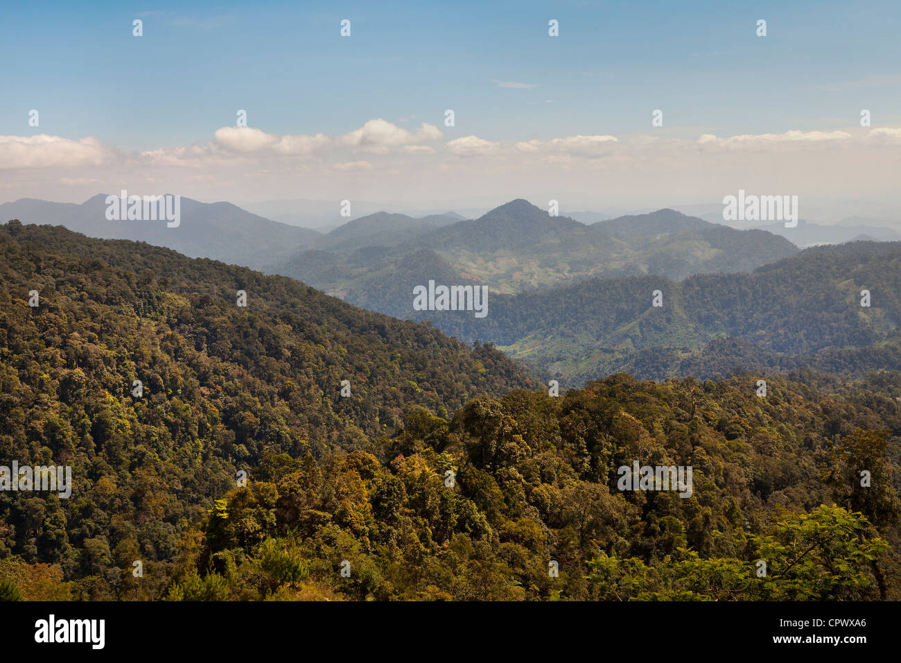Tropical rainforest highland view looking South, forested hills, warm evening sunlight, Genting Highlands, Malaysia. Stock Photo
