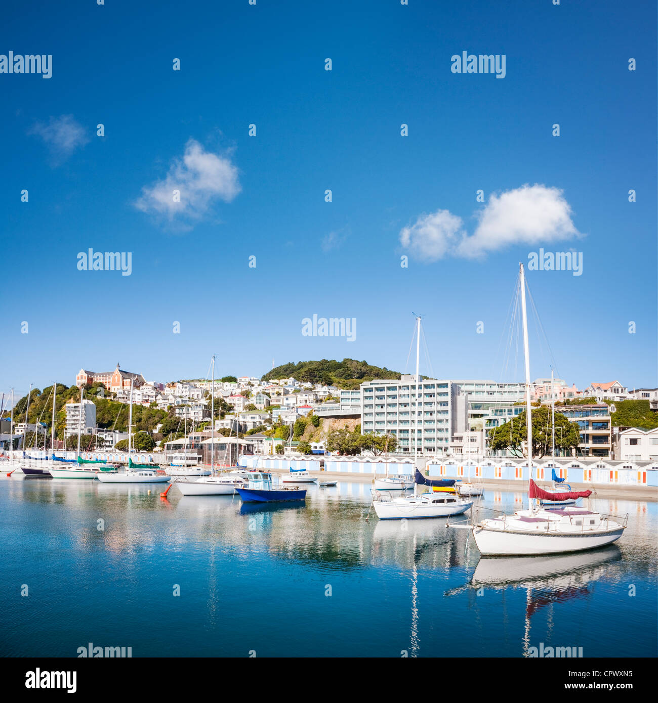 Wellington New Zealand Oriental Bay Stock Photo