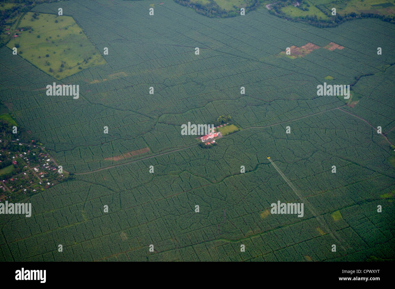 Banana plantation, eastern Costa Rica, near Tortuguero, from above.  Crop duster is seen spraying the crops Stock Photo