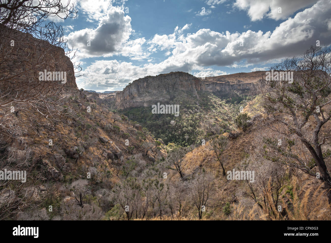 sandstone cliffs, Isalo National Park, Ihorombe Region of Madagascar ...