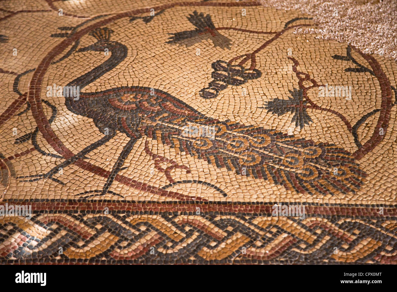 Old Baptistery floor mosaic in Moses Memorial Church, Amman, Jordan Stock Photo