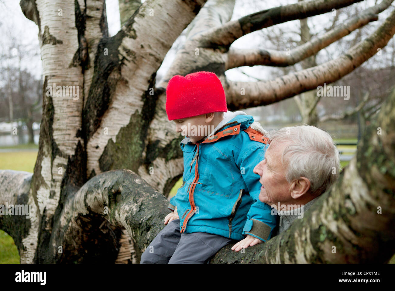 Granfather and boy sitting on tree branch Stock Photo