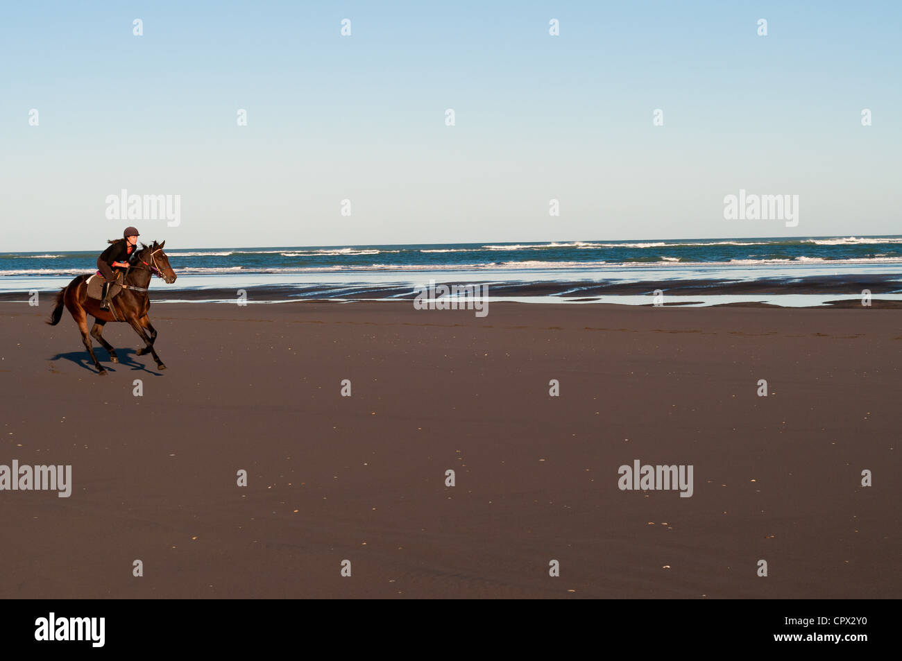 Mid adult woman riding horse on beach Stock Photo