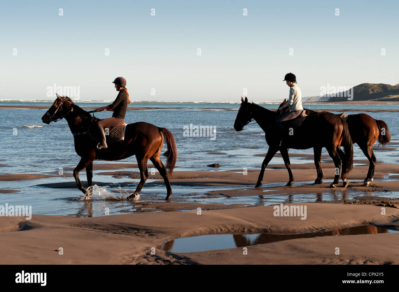 Two women riding horses on beach Stock Photo - Alamy