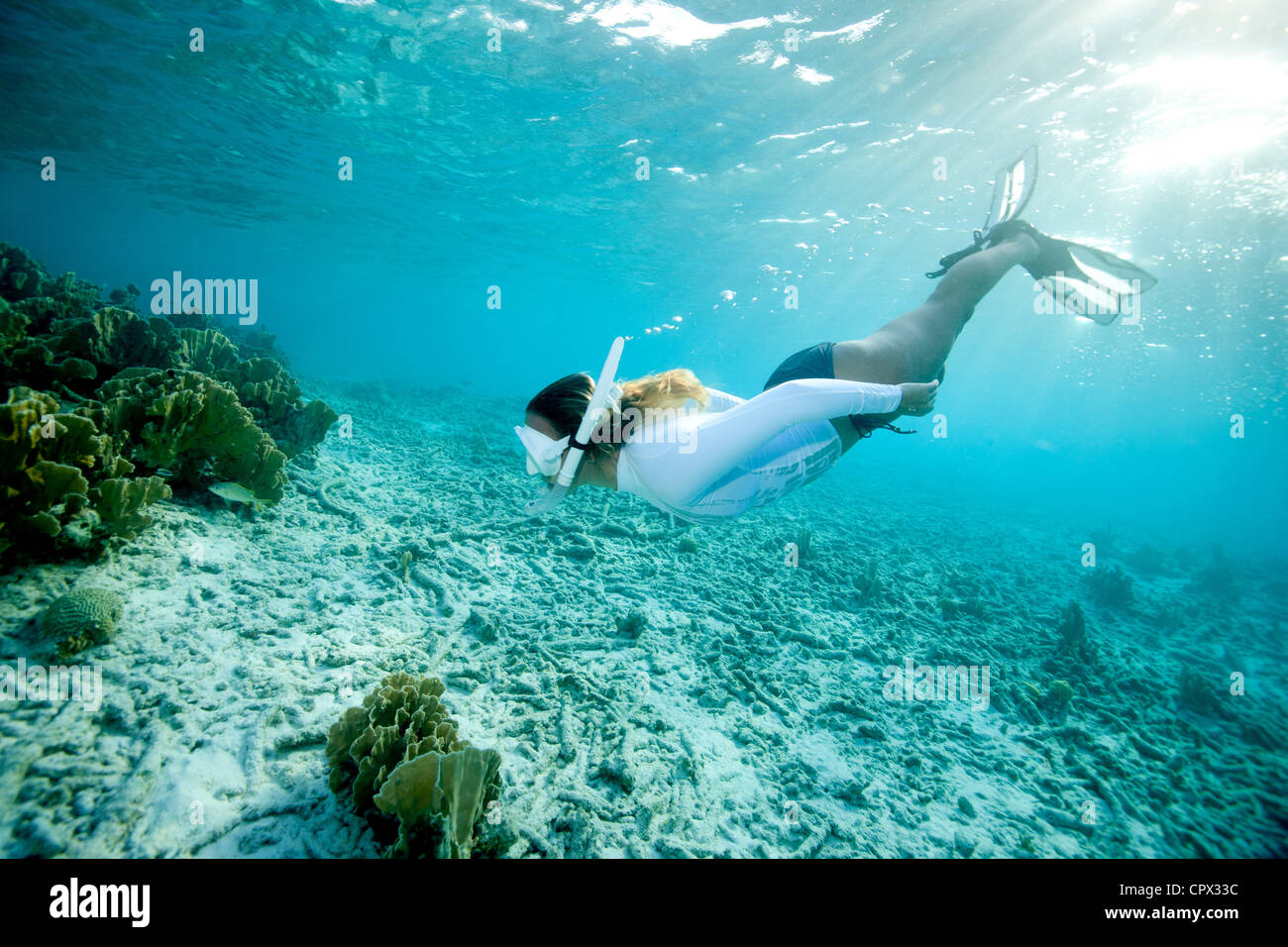Snorkeler approaches coral reef Stock Photo