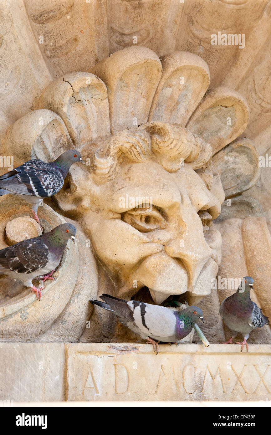 Pigeons drinking from water fountain in Piazza Francesco Ferrucci in Radda-in-Chianti, Tuscany, Italy Stock Photo