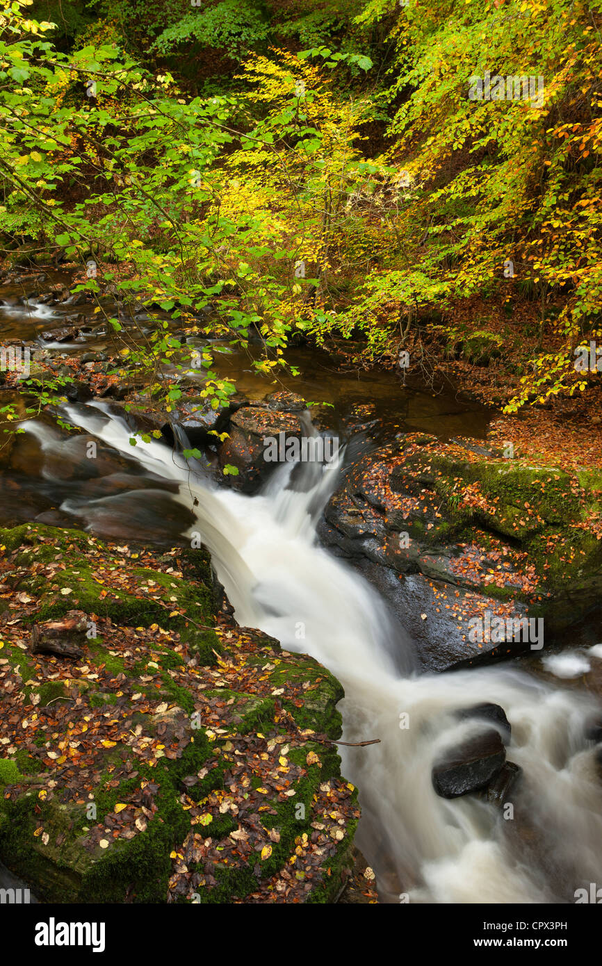 the Birks of Aberfeldy, Perthshire, Scotland Stock Photo