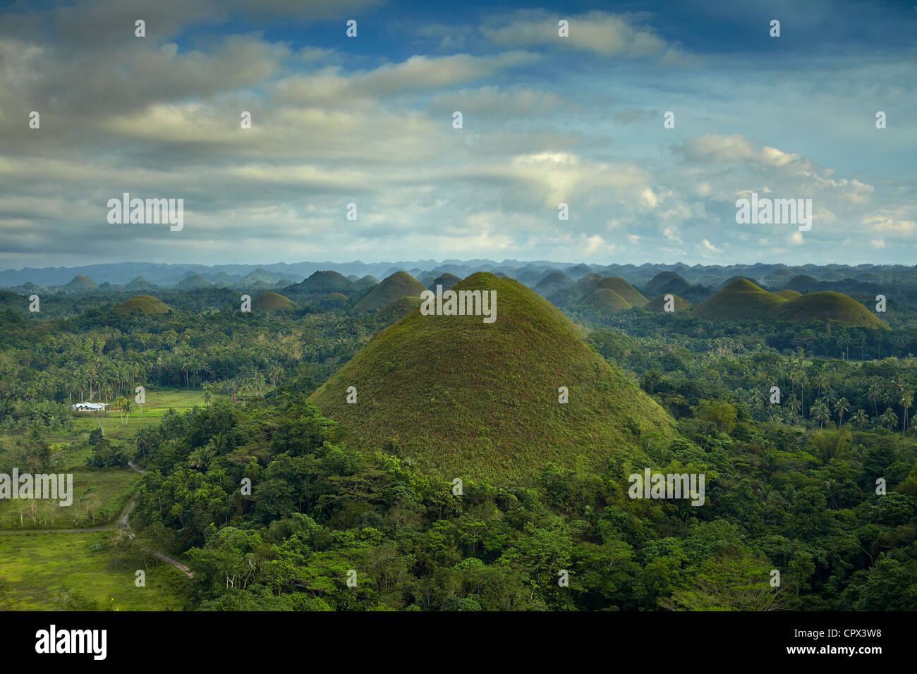 Chocolate Hills, Bohol, The Visayas, Philippines Stock Photo Alamy