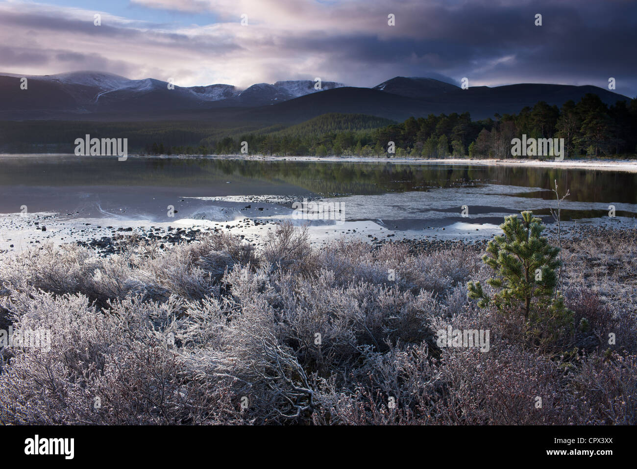 Loch Morlich and the Cairngorms at dawn, Badenoch and Strathspey, Scotland Stock Photo