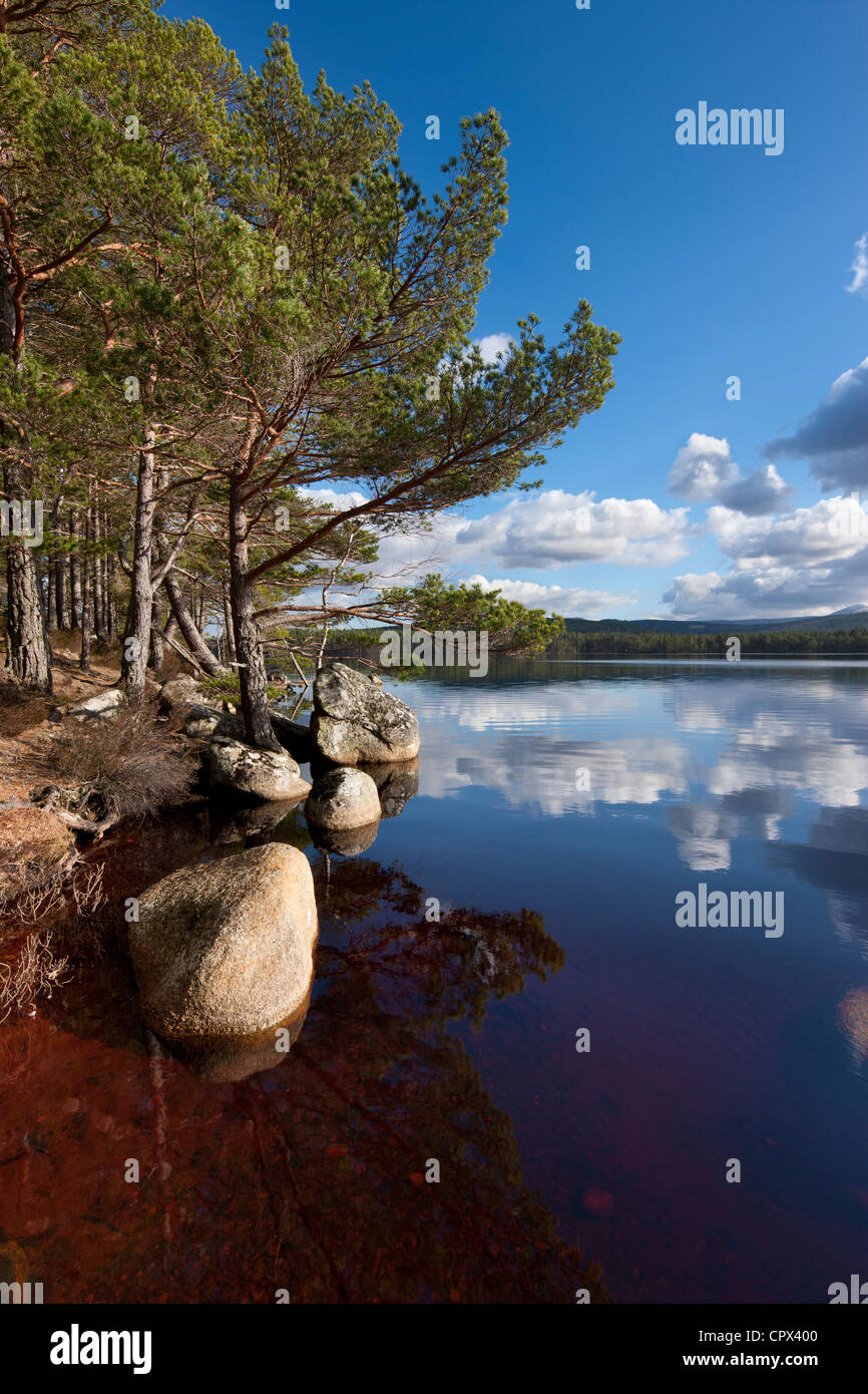 Loch Garten, Strathspey, Cairngorms National Park, Scotland Stock Photo