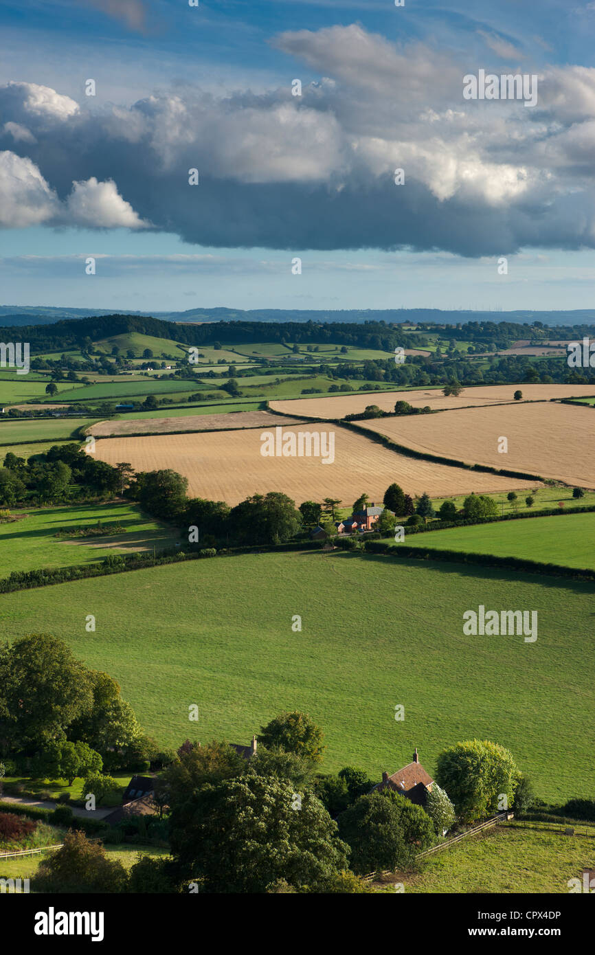 the rolling countryside, nr Corton Denham, Somerset, England, UK Stock Photo