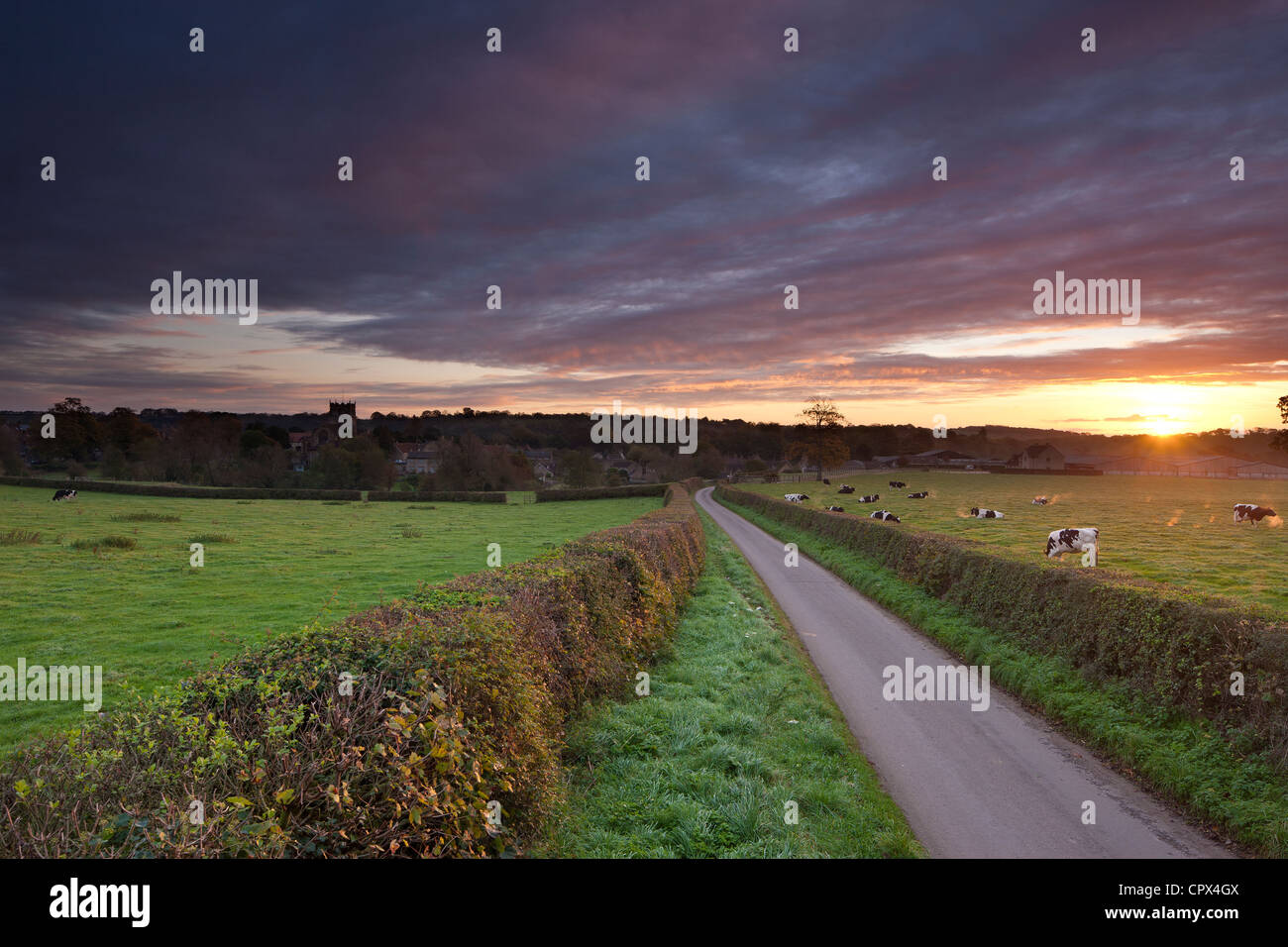 Milborne port hires stock photography and images Alamy