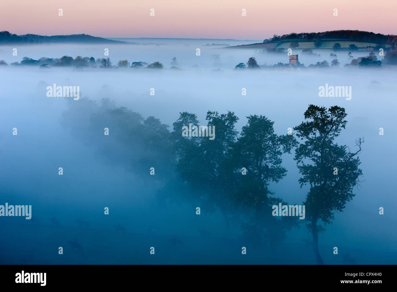 a misty autumn morning, Milborne Port, on the Dorset/Somerset Border, England UK Stock Photo