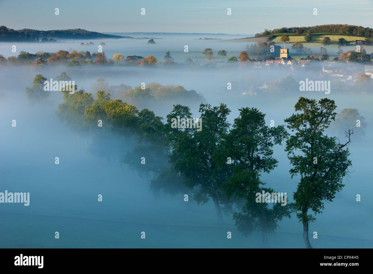 a misty autumn morning, Milborne Port, on the Dorset/Somerset Border