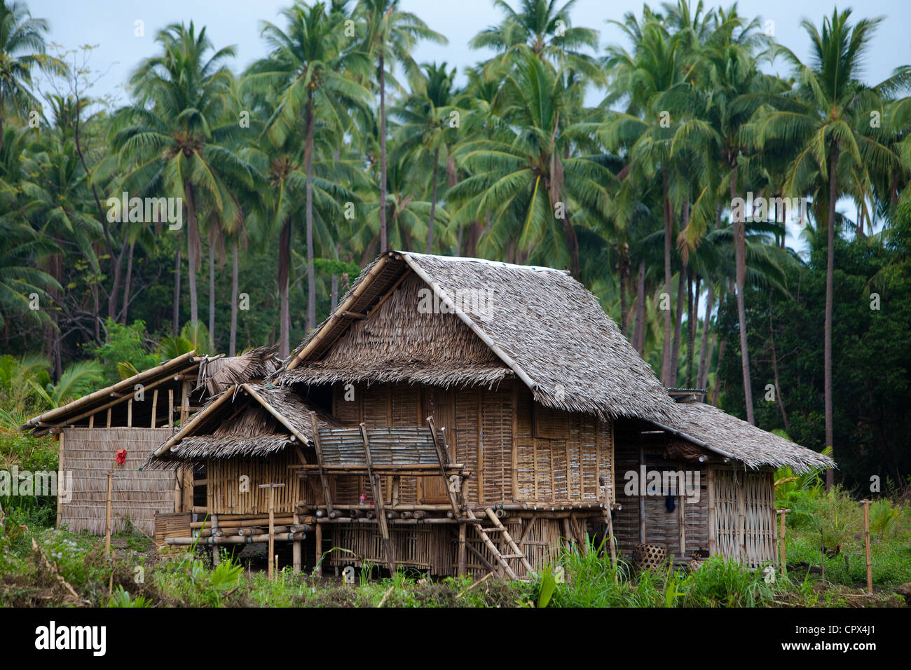 a typical house in the forest, Negros, Philippines Stock Photo