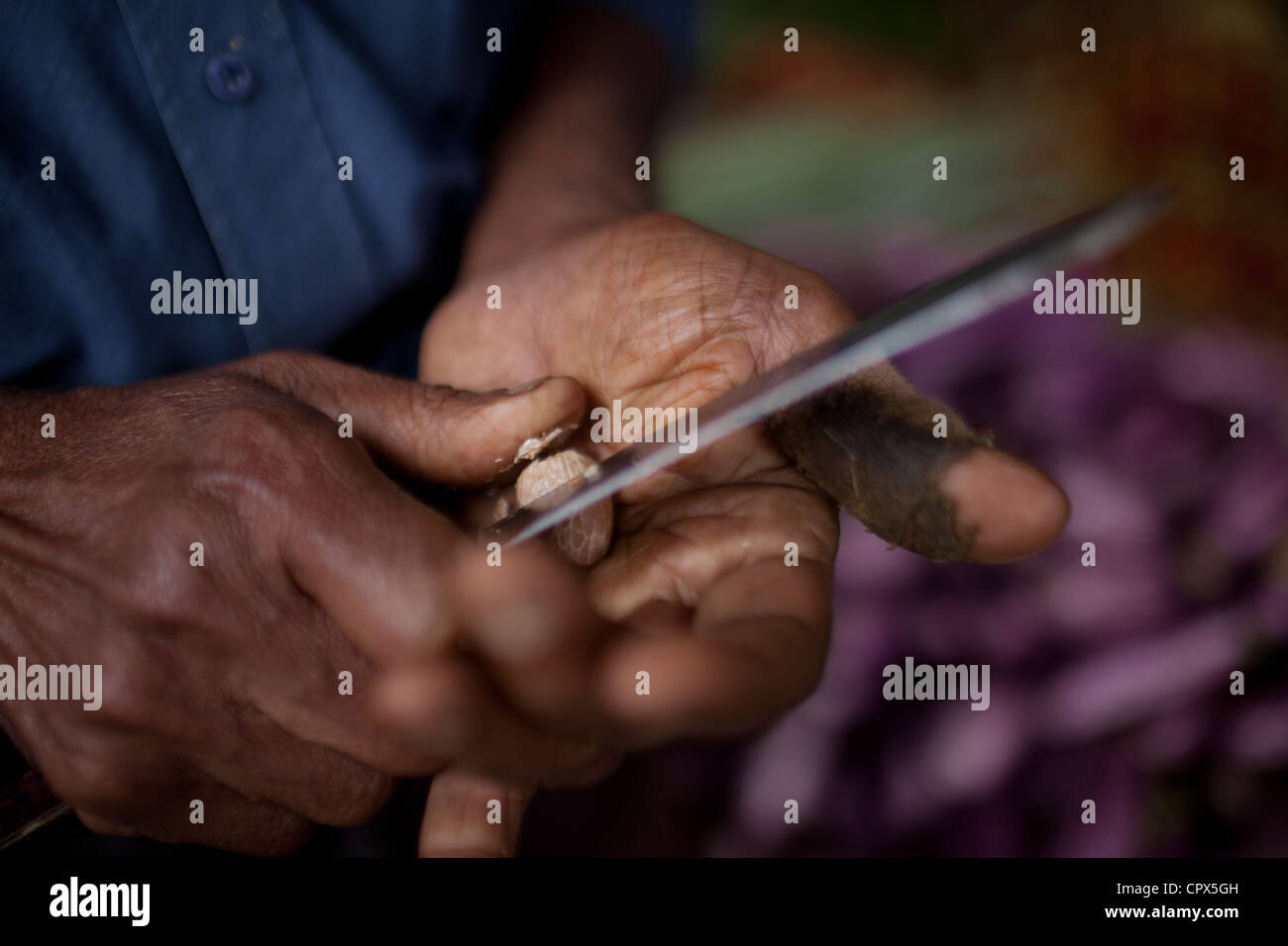 Badula District High Resolution Stock Photography and Images - Alamy
