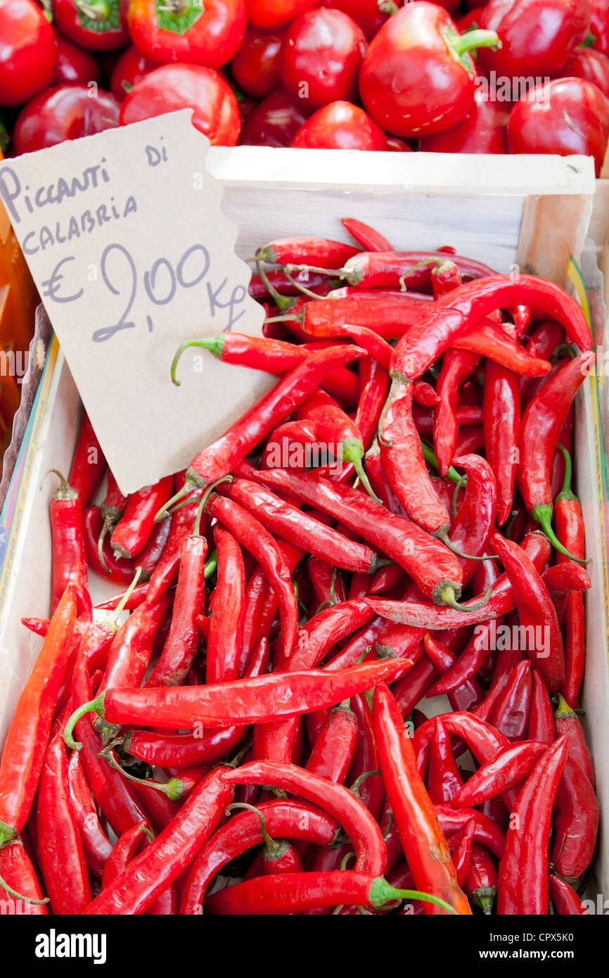 Red chillis, Piccanti di Calabria, on sale at weekly street market in Panzano-in-Chianti, Tuscany, Italy Stock Photo