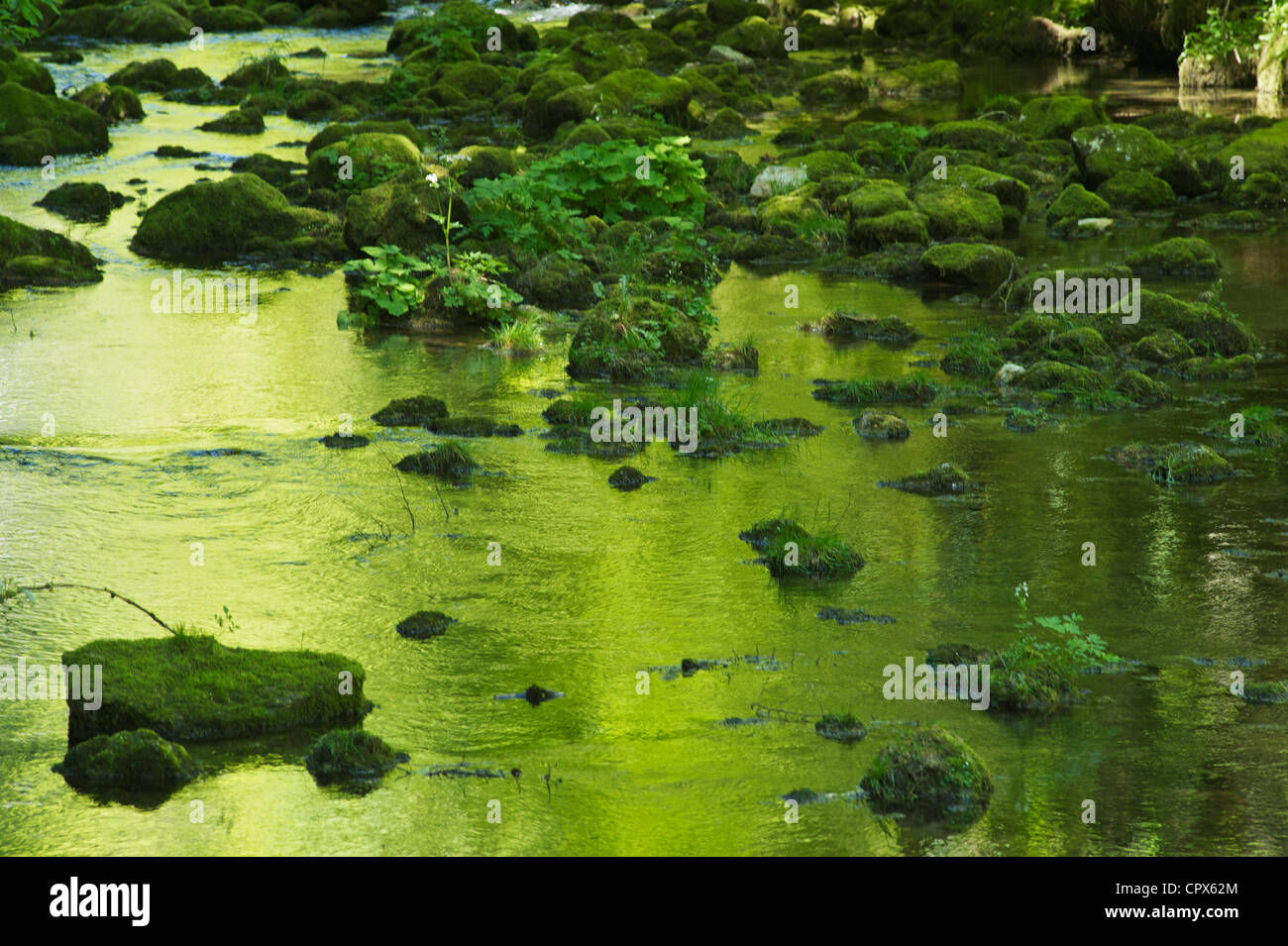 Source of the short river in the cantone of the Neuchatel called Areuse in the Swiss Jura mountains Stock Photo