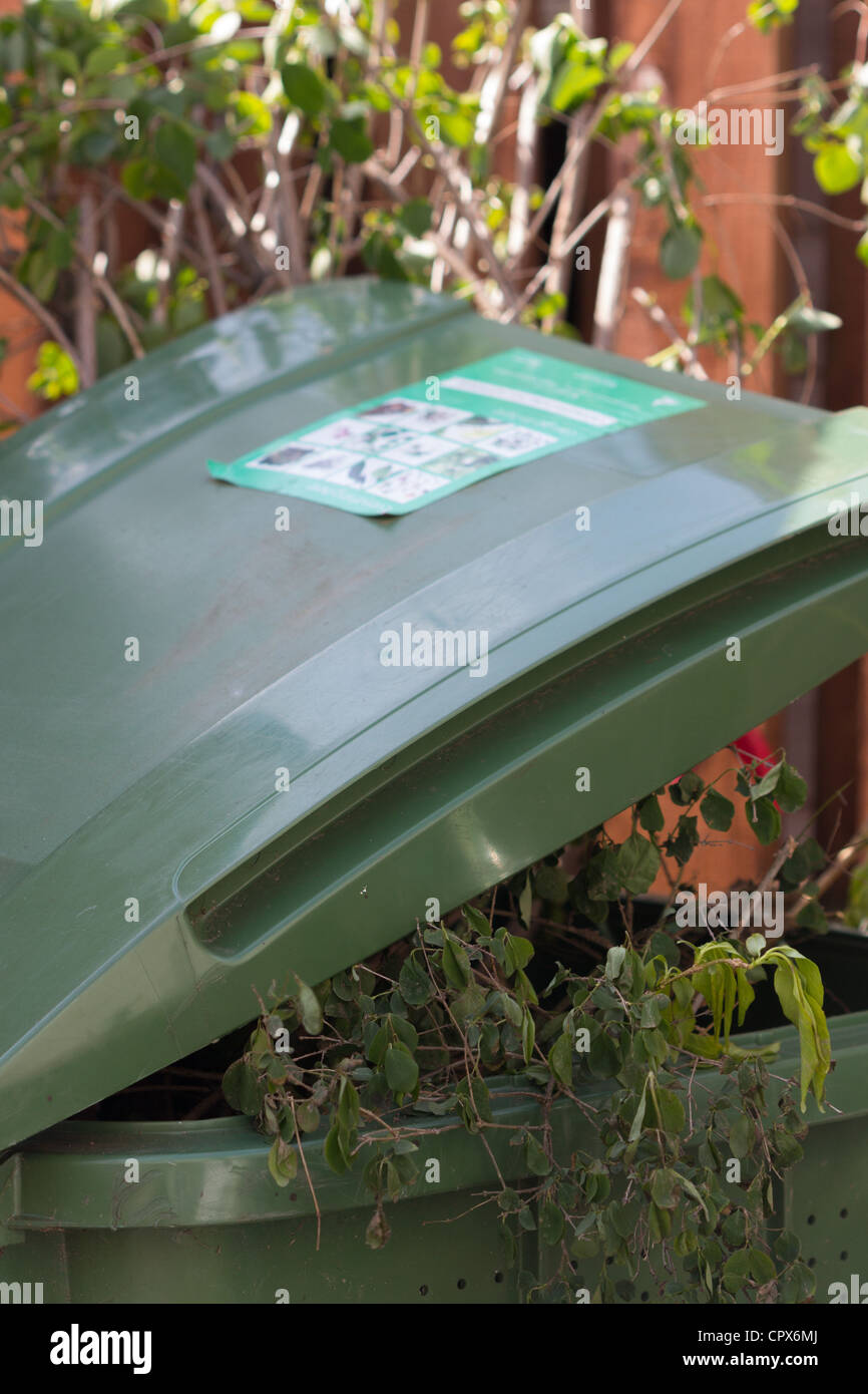 urban Garden waste for recycling. Scotland UK Stock Photo Alamy