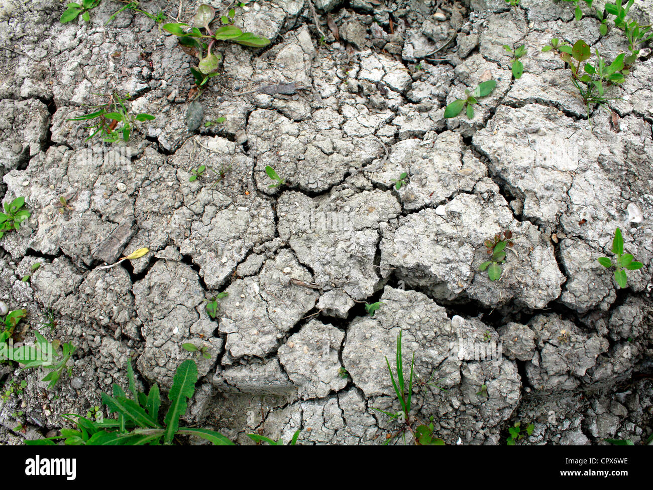 cracks on ground Stock Photo - Alamy