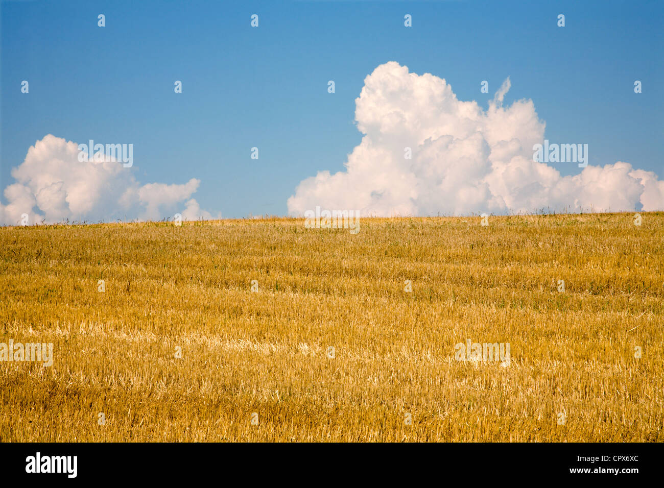 field after harvest and clouds Stock Photo - Alamy