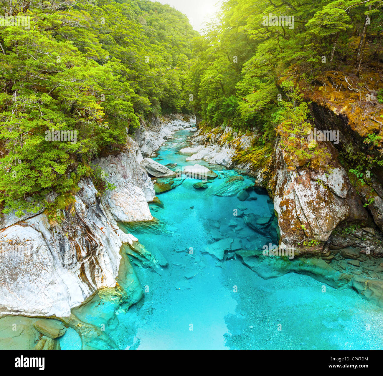 The Blue Pools of Haast Pass in New Zealand Stock Photo Alamy