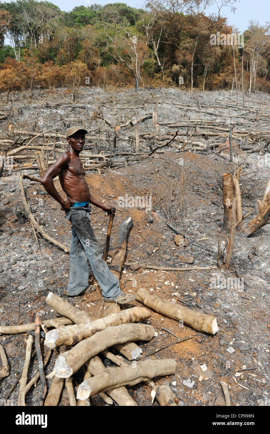 West Africa Deforestation High Resolution Stock Photography and Images ...