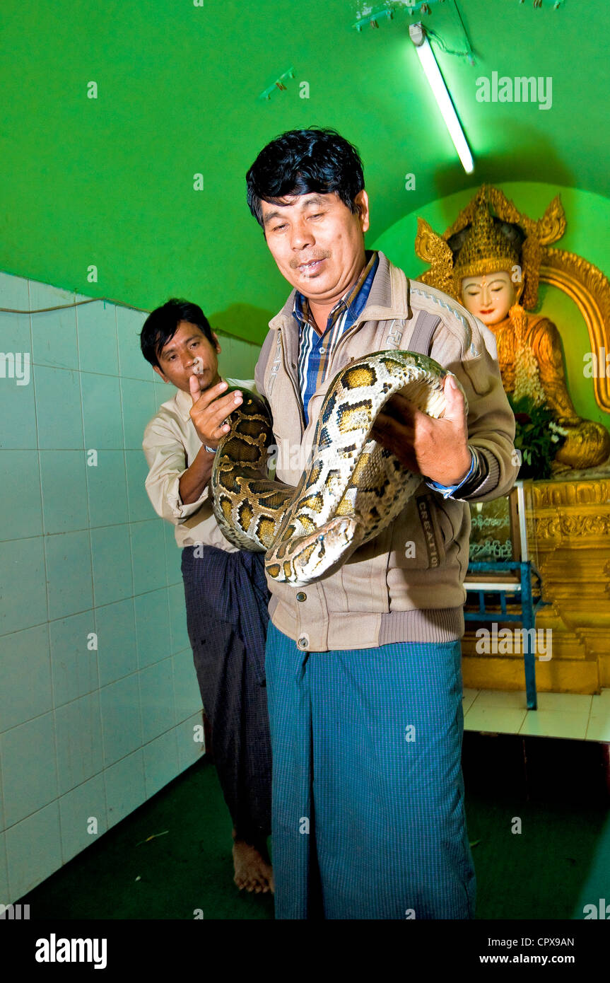 Myanmar (Burma), Mandalay Division, village of Paleik, Snake Pagoda ...
