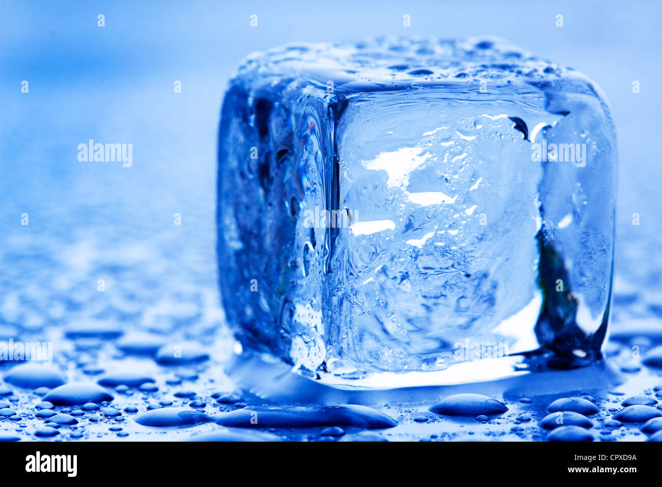 ice cubes in blue background Stock Photo: 48524374 - Alamy
