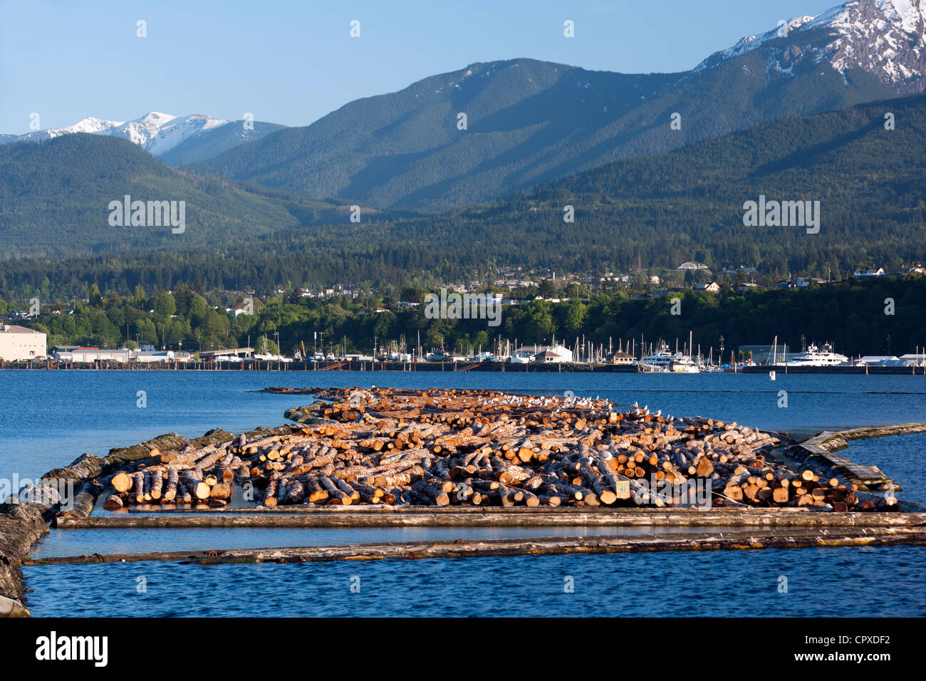 Logging at Port Angeles, Washington USA Stock Photo