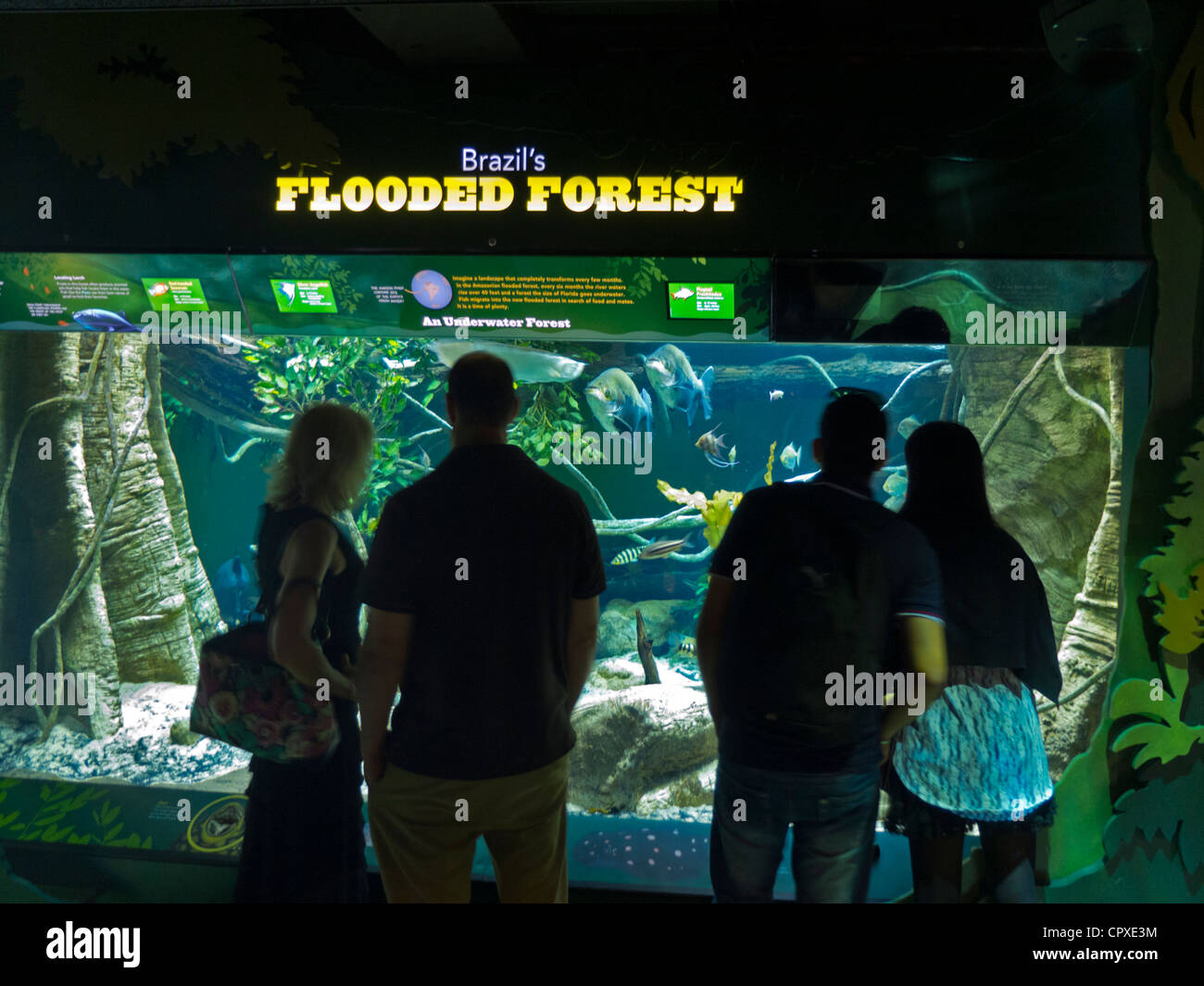 New York Aquarium in Brooklyn New York Stock Photo Alamy
