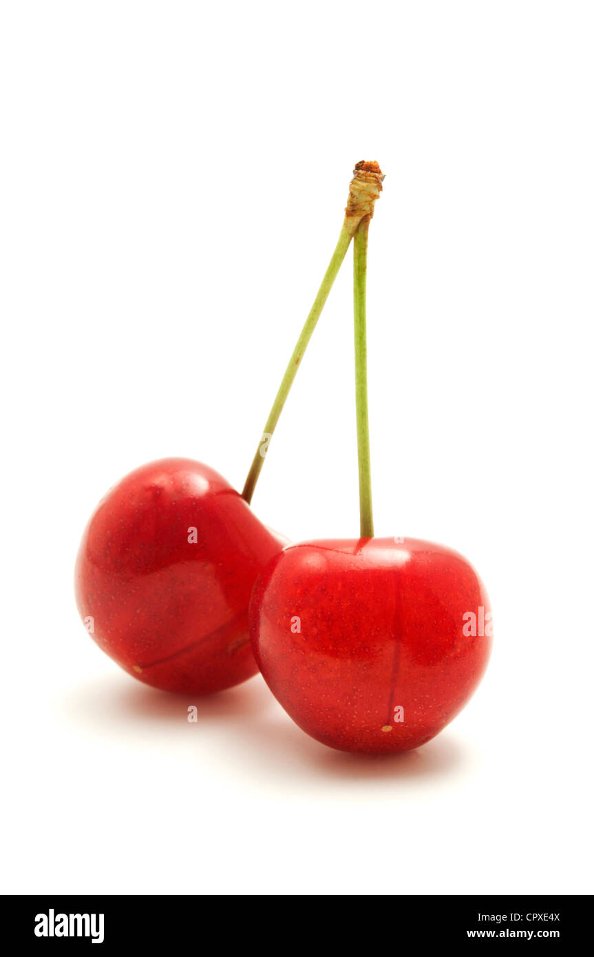 Wild cherry on a white background Stock Photo