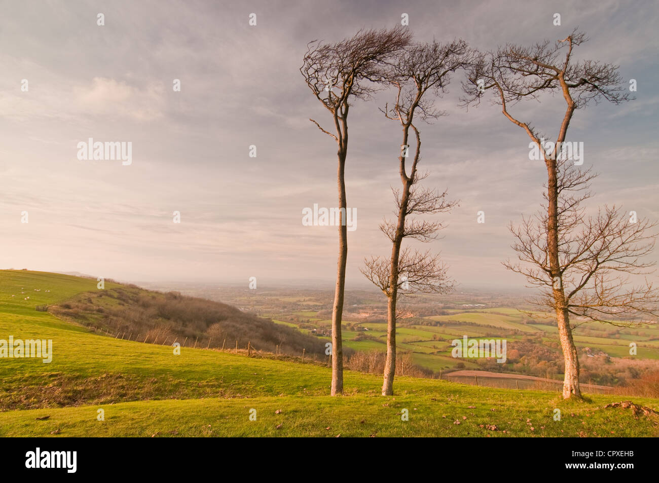 Panoramic sussex hills hires stock photography and images Alamy
