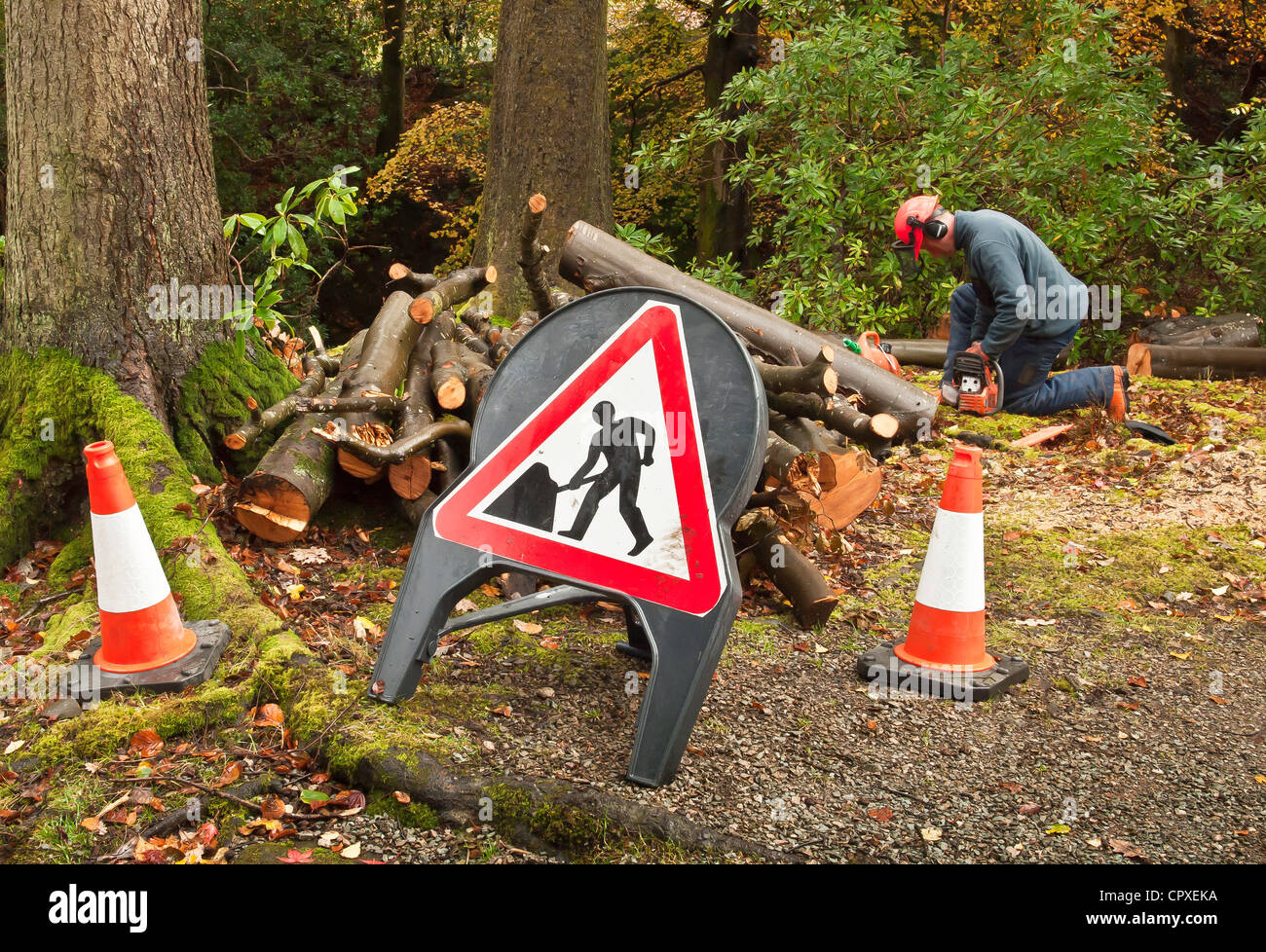 Forestry Worker Stock Photo