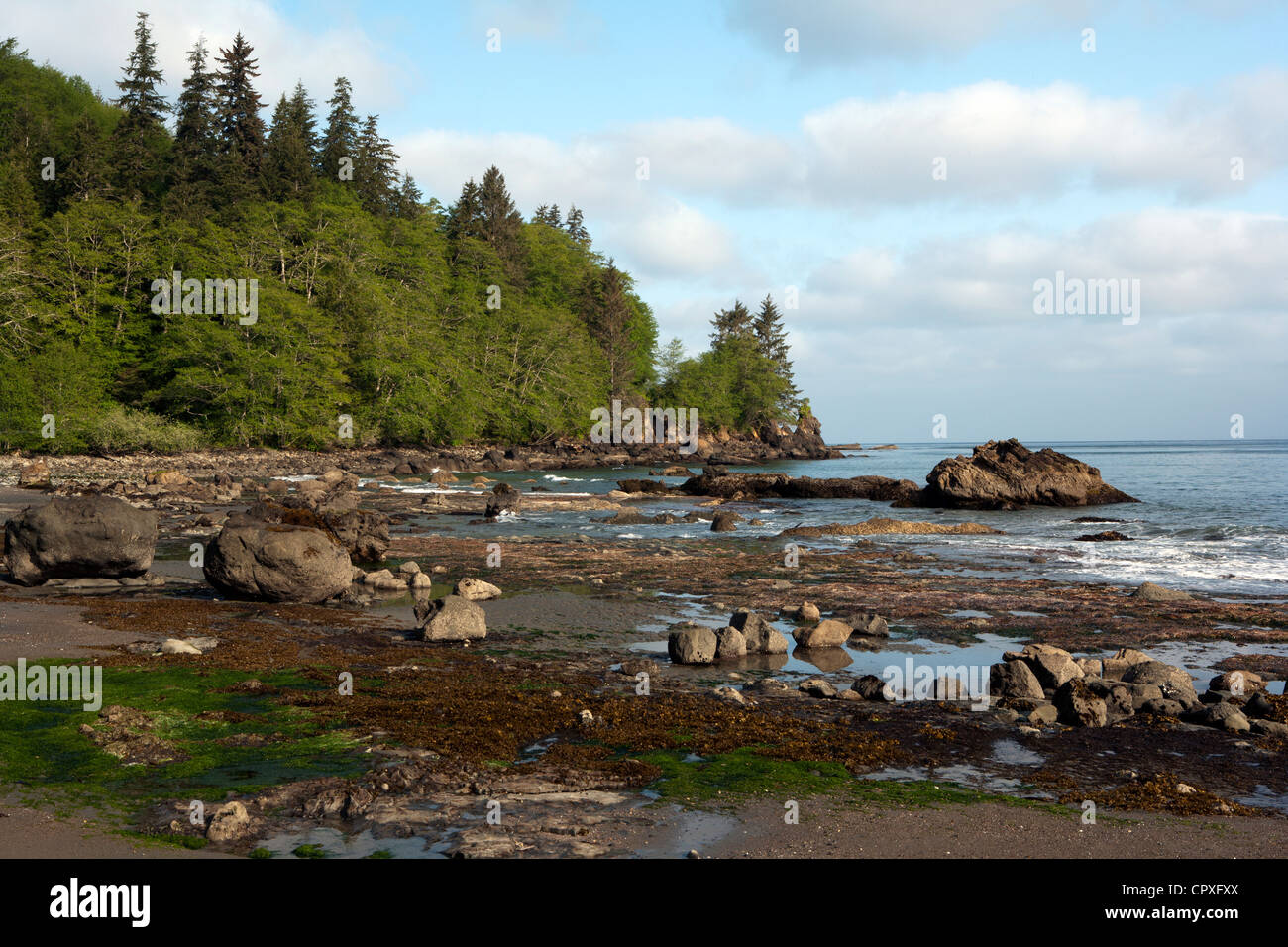 Coastline Landscape - near Neah Bay, Washington, USA Stock Photo